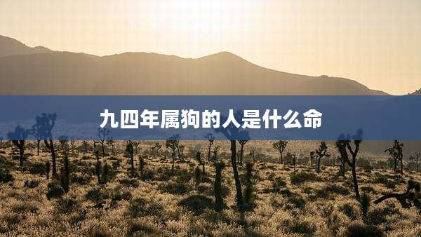 九四年属狗的人是什么命