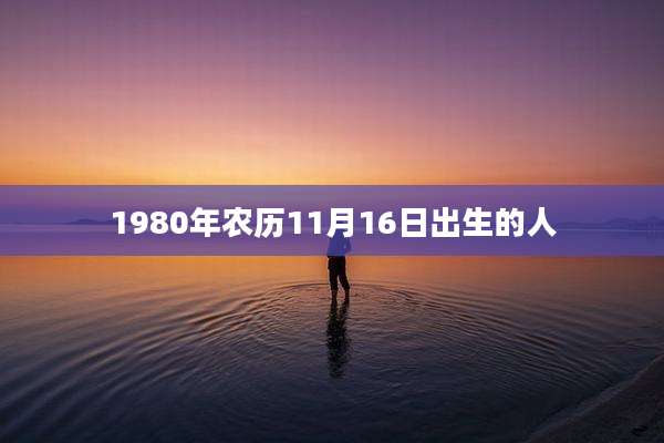 1980年农历11月16日出生的人