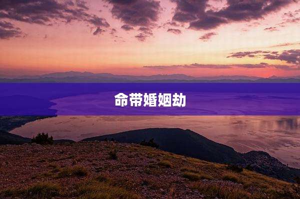 命带婚姻劫