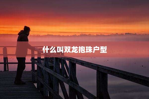 什么叫双龙抱珠户型