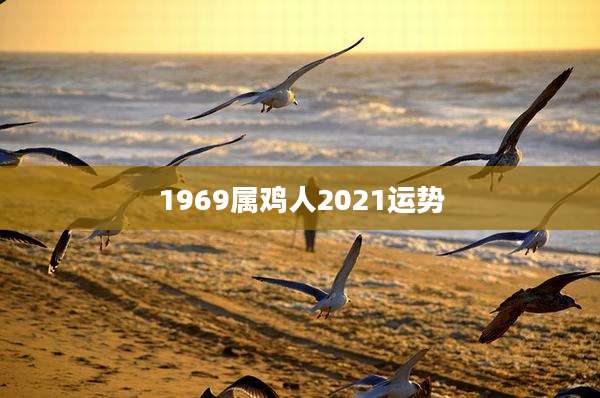 1969属鸡人2021运势