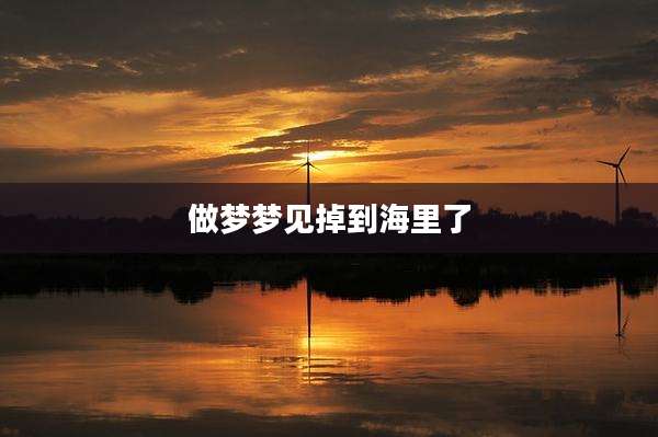做梦梦见掉到海里了
