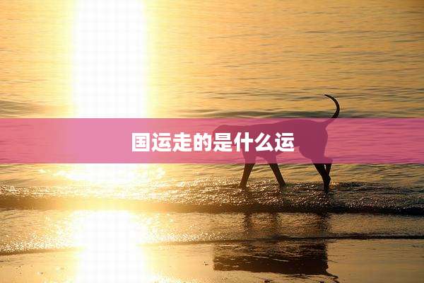 国运走的是什么运