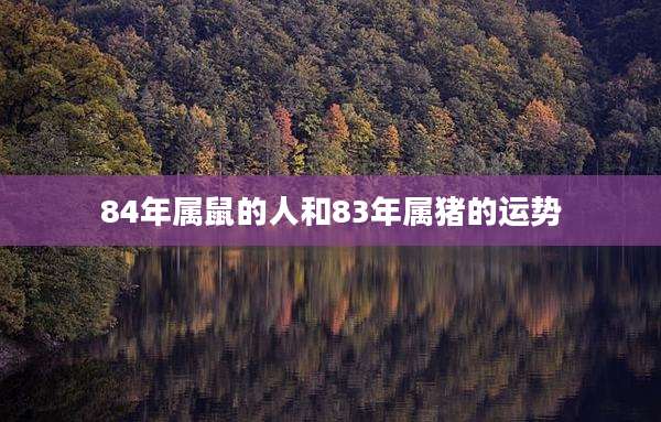 84年属鼠的人和83年属猪的运势