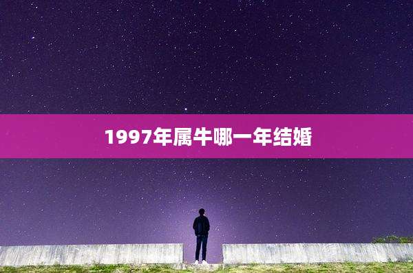 1997年属牛哪一年结婚