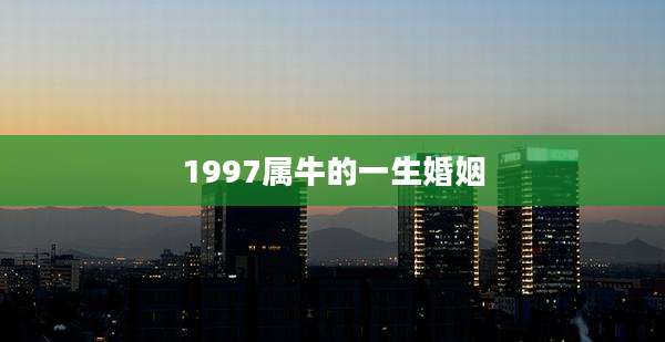 1997属牛的一生婚姻
