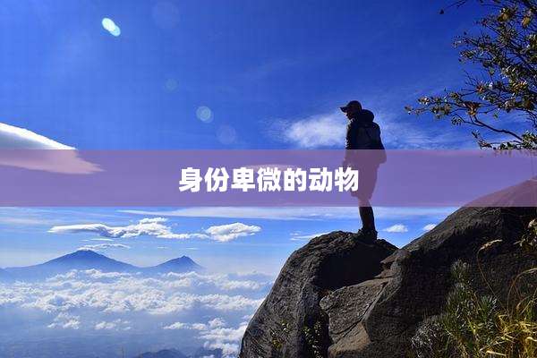 身份卑微的动物