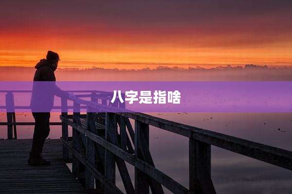 八字是指啥