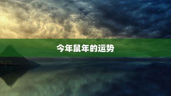 今年鼠年的运势