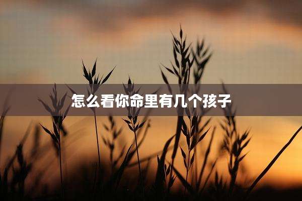 怎么看你命里有几个孩子