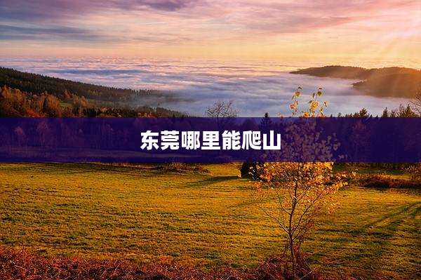 东莞哪里能爬山