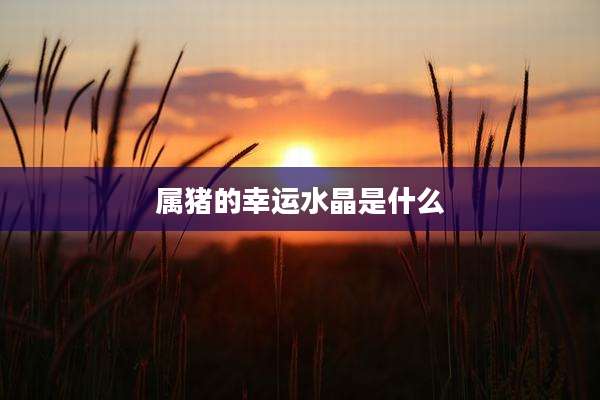属猪的幸运水晶是什么