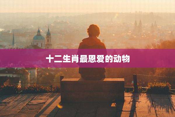 十二生肖最恩爱的动物