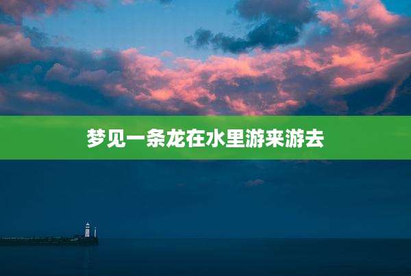 梦见一条龙在水里游来游去