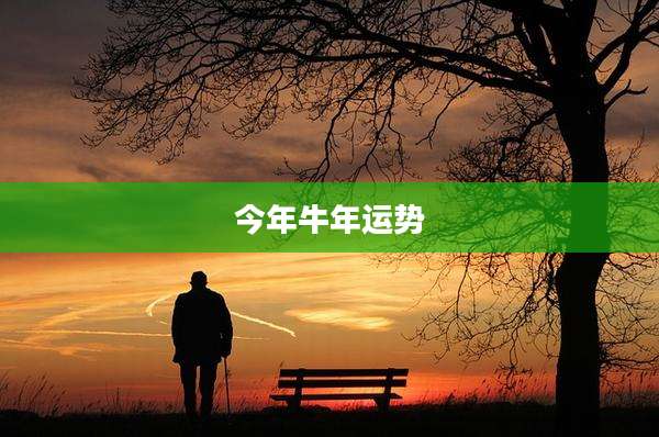 今年牛年运势