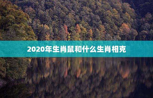 2020年生肖鼠和什么生肖相克