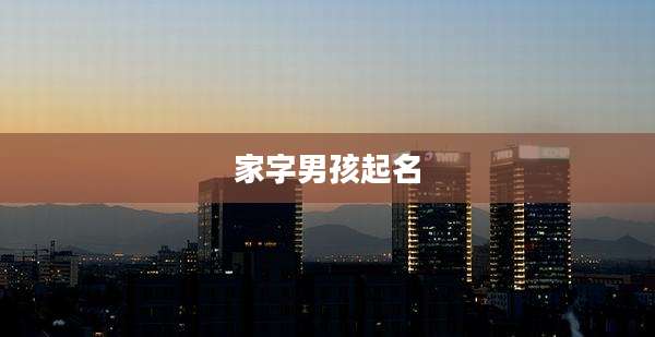家字男孩起名