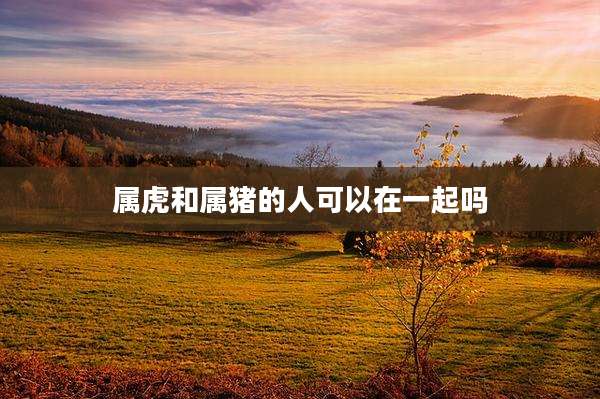 属虎和属猪的人可以在一起吗