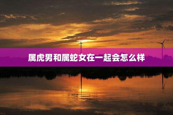 属虎男和属蛇女在一起会怎么样