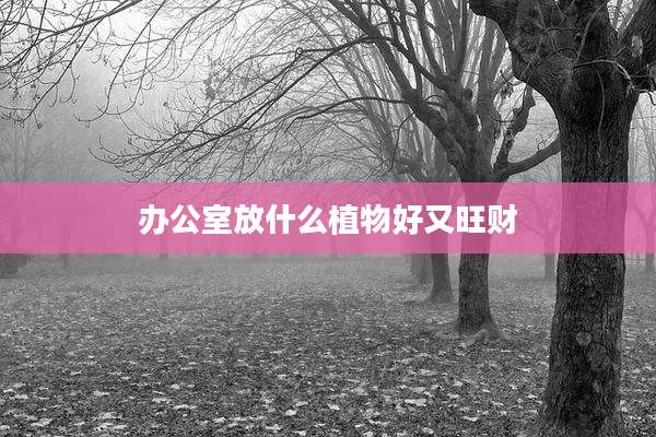 办公室放什么植物好又旺财