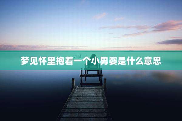 梦见怀里抱着一个小男婴是什么意思