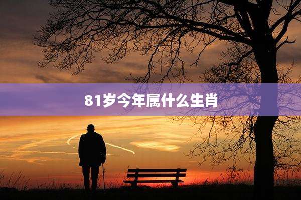 81岁今年属什么生肖