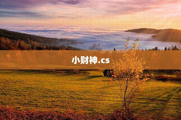 小财神.cs