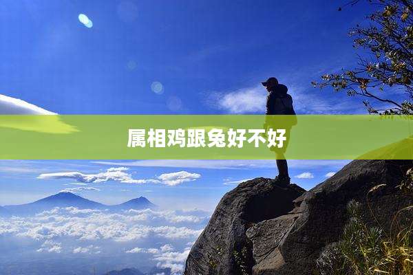 属相鸡跟兔好不好