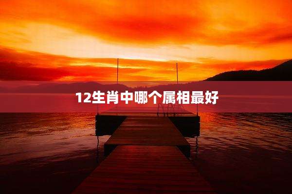 12生肖中哪个属相最好
