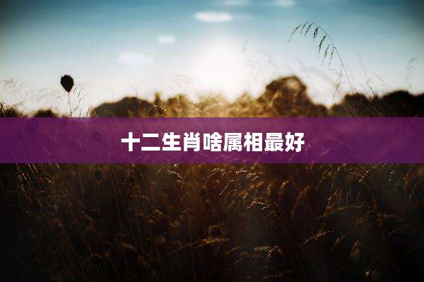 十二生肖啥属相最好