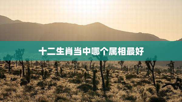 十二生肖当中哪个属相最好