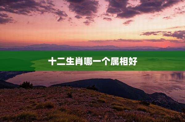 十二生肖哪一个属相好