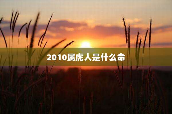 2010属虎人是什么命