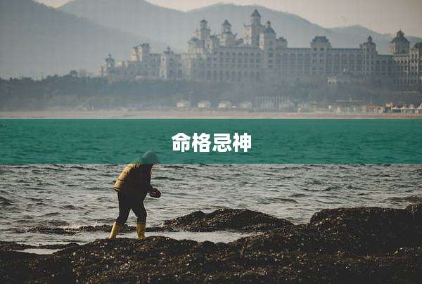 命格忌神