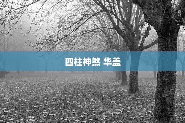 四柱神煞 华盖