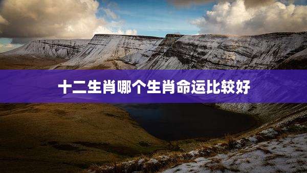 十二生肖哪个生肖命运比较好