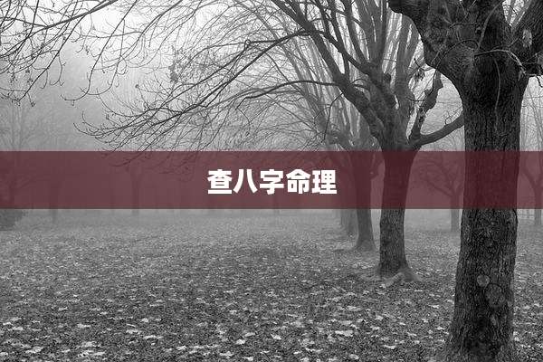 查八字命理