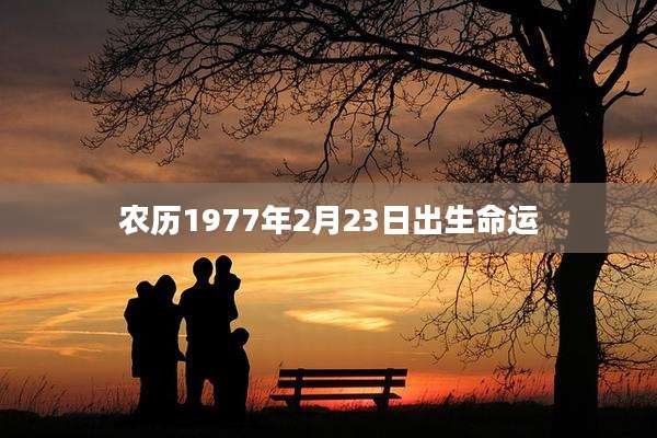 农历1977年2月23日出生命运