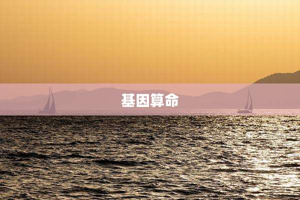 基因算命