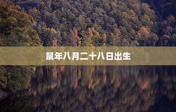 鼠年八月二十八日出生