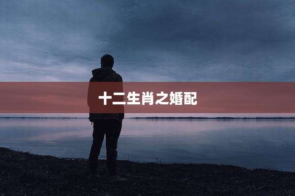 十二生肖之婚配