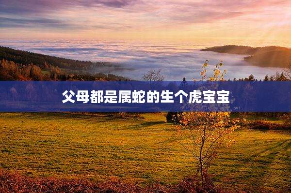 父母都是属蛇的生个虎宝宝