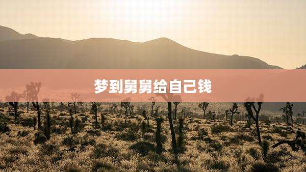 梦到舅舅给自己钱