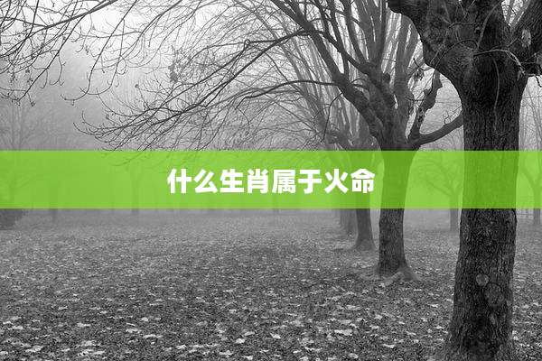 什么生肖属于火命