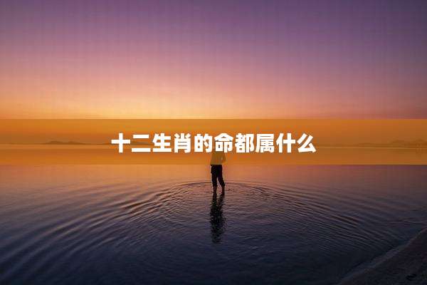 十二生肖的命都属什么