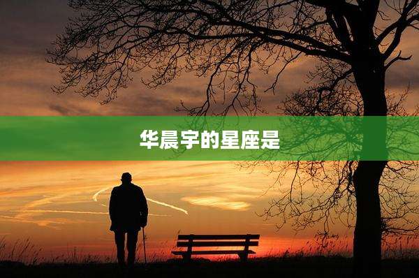 华晨宇的星座是