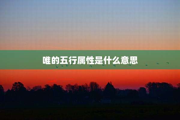 唯的五行属性是什么意思