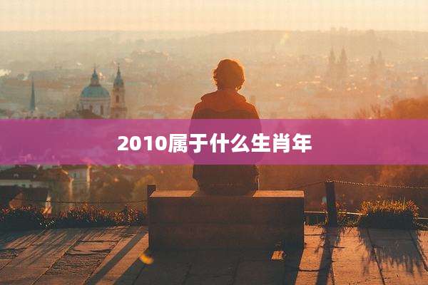 2010属于什么生肖年