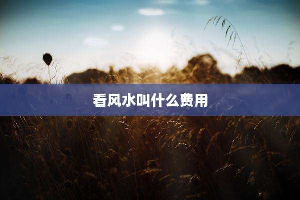 看风水叫什么费用