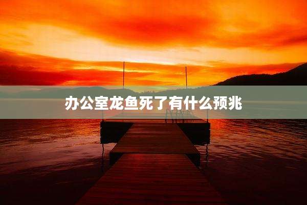 办公室龙鱼死了有什么预兆